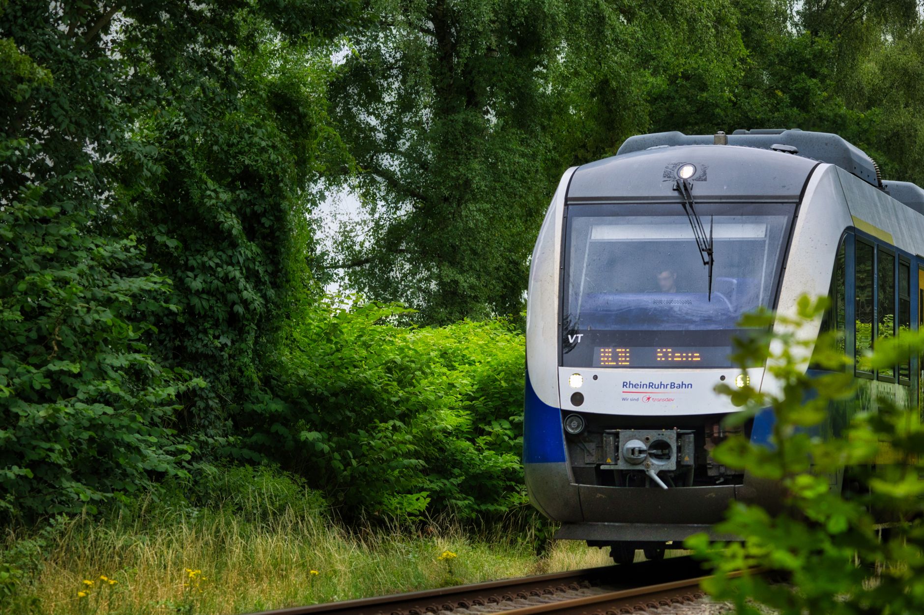 Regionale personentrein door groen platteland