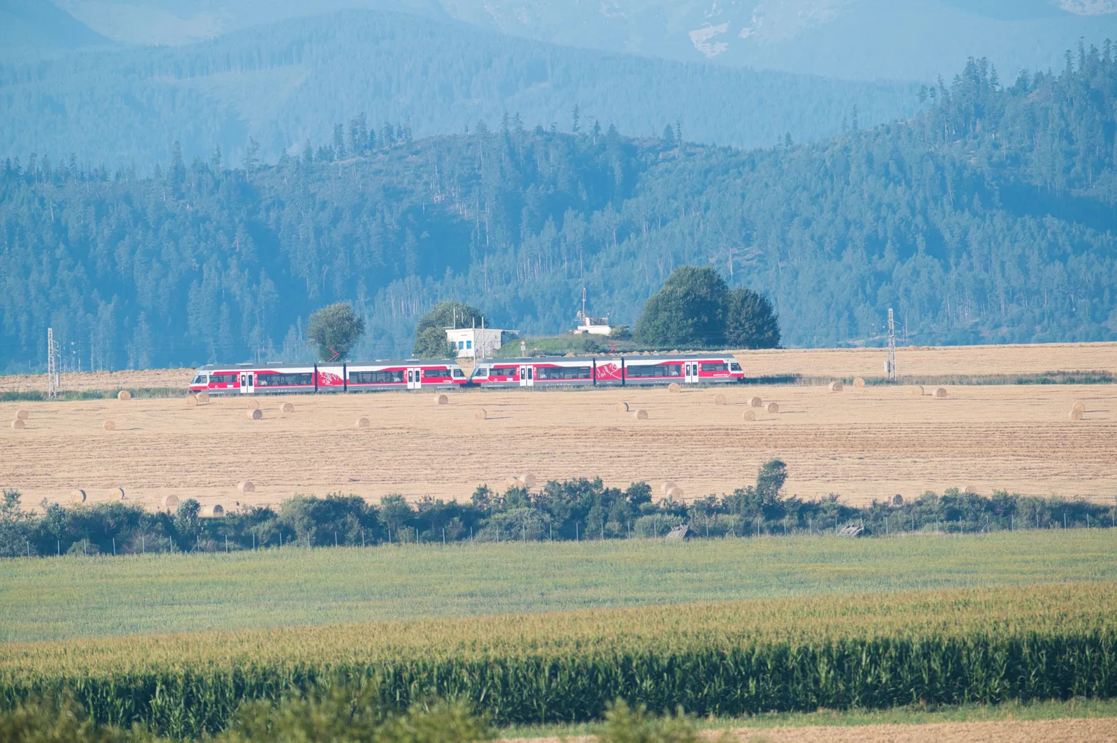 Trein bij een station in Slowakije