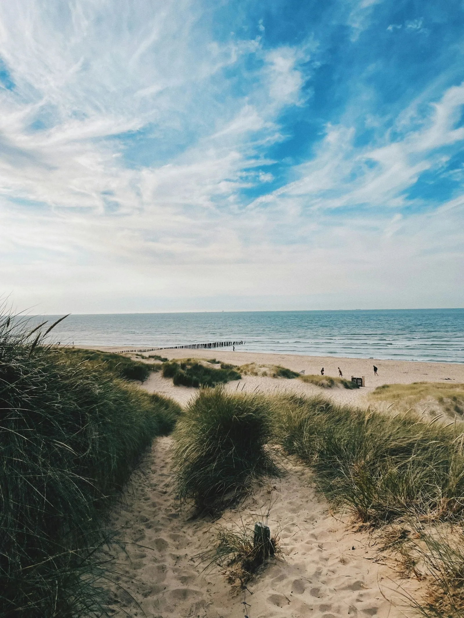Pad door de duinen naar een strand aan de kust van het Kanaal