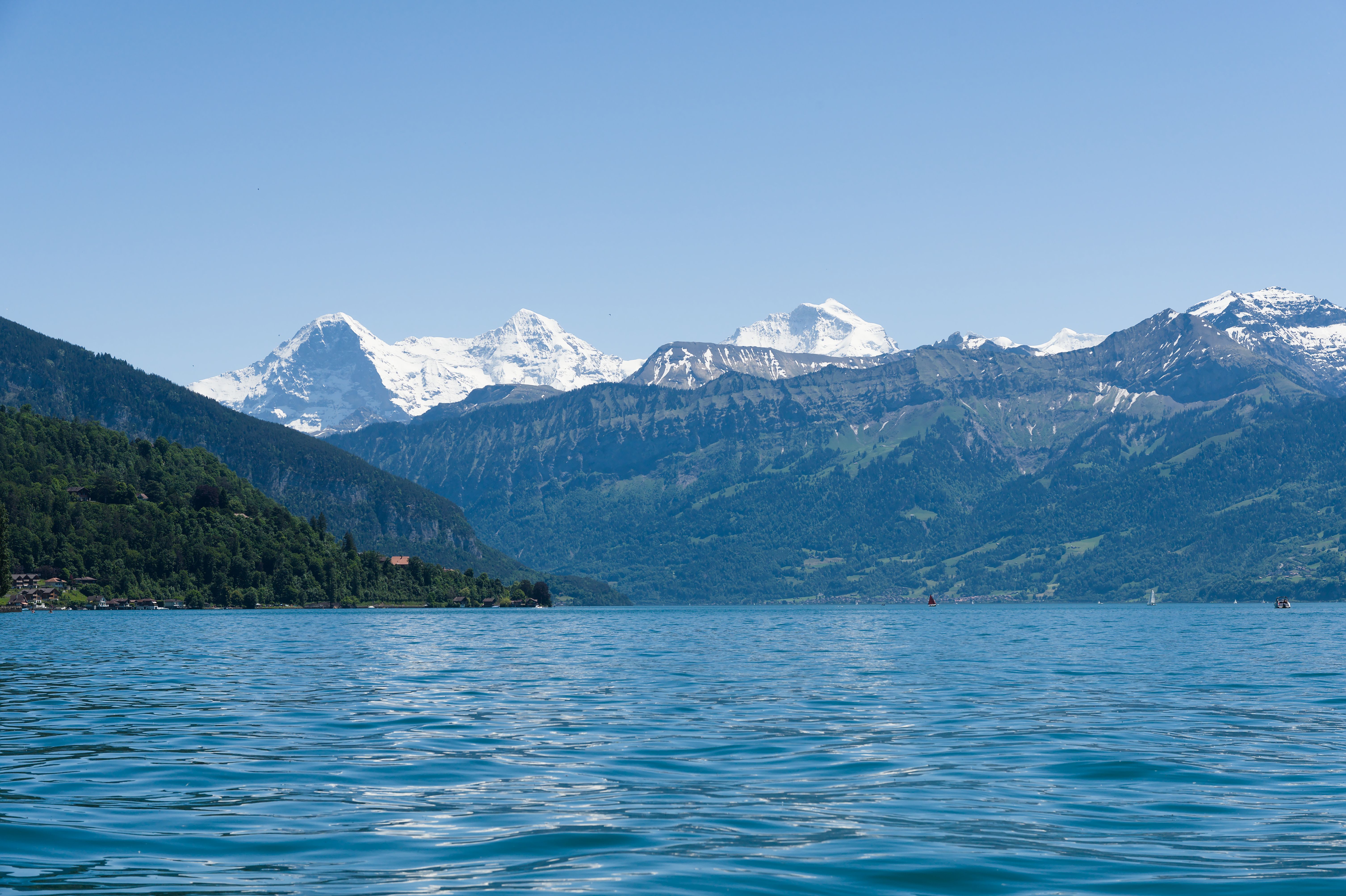 Thunsjön och de schweiziska Alperna nära Interlaken