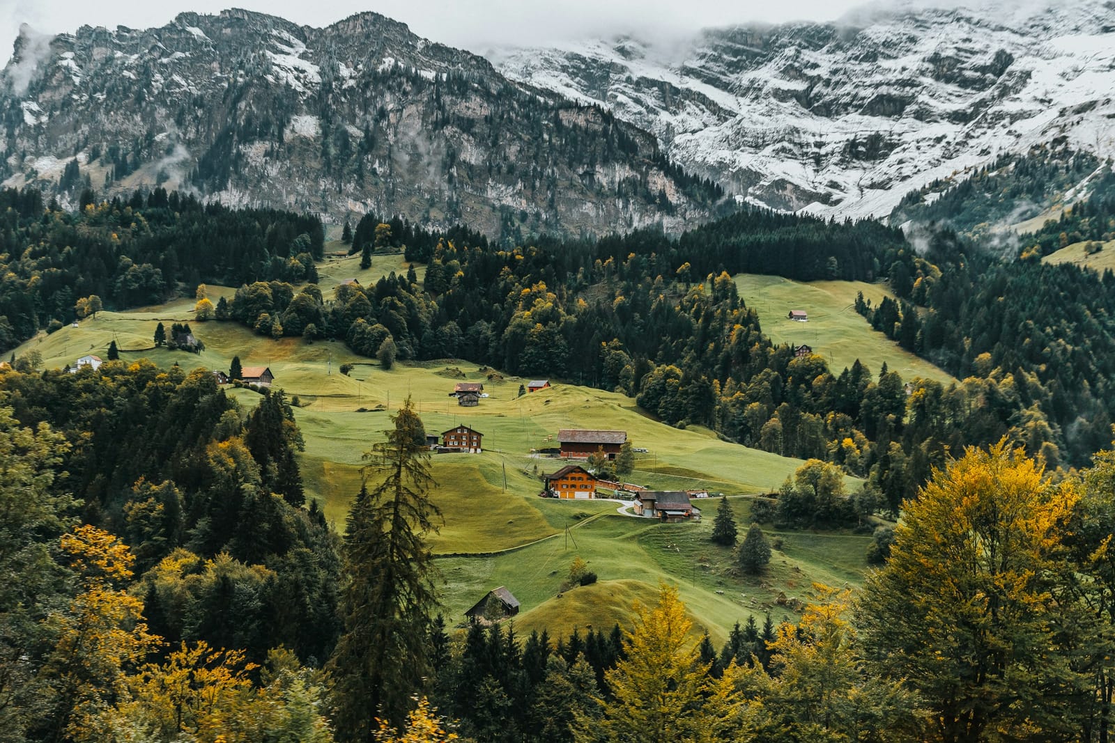 Vallée alpine suisse avec montagnes et forêt