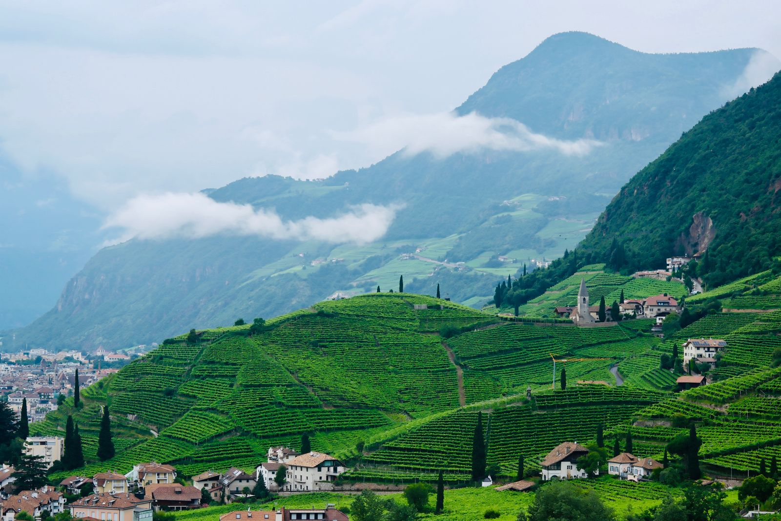 De wijngaarden en daken van Bolzano onder de mistige bergen van Zuid-Tirol.