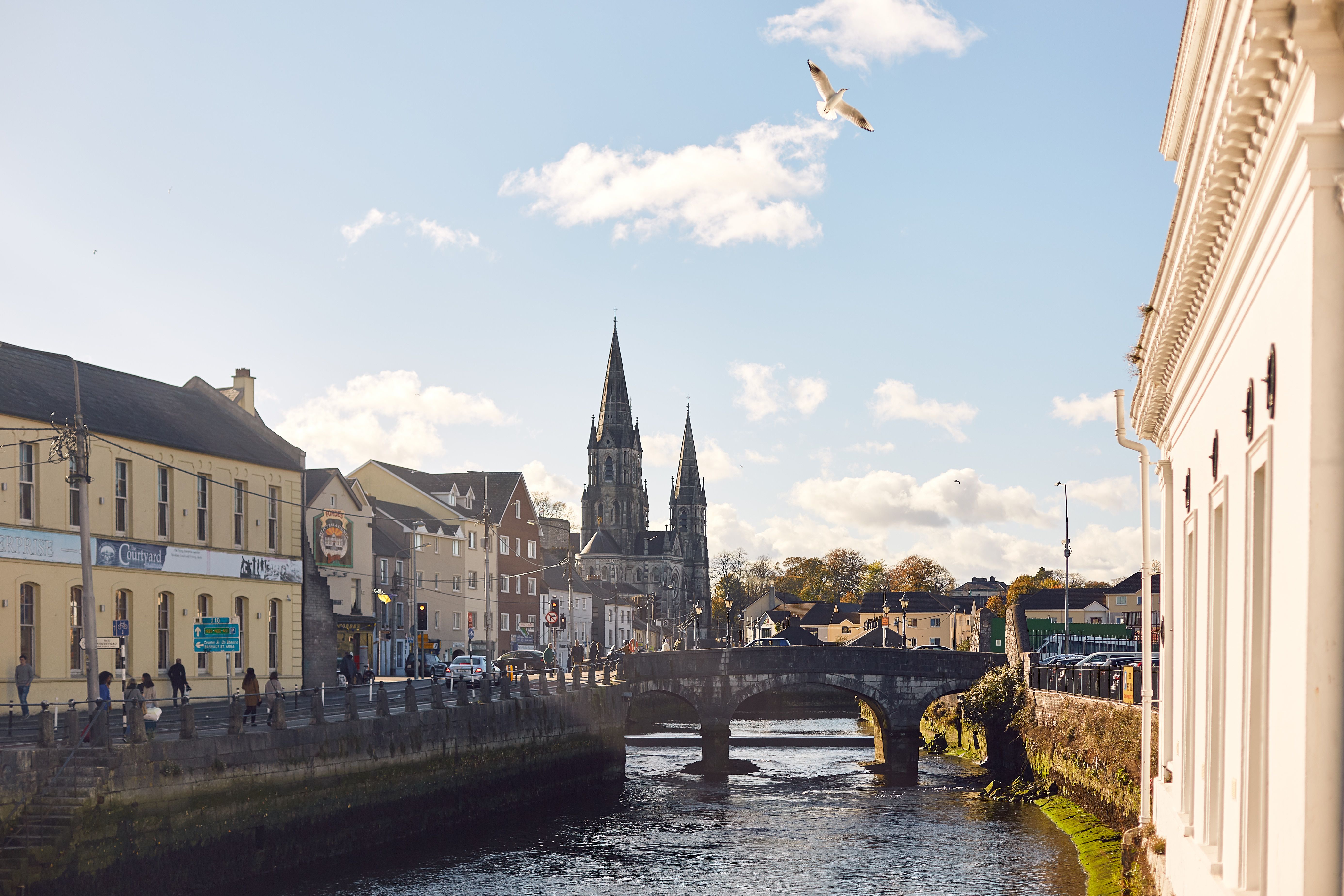 Le guglie della cattedrale di St Fin Barre oltre un ponte di pietra sul fiume Lee a Cork, in Irlanda